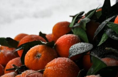 Pomi fructiferi rezistenți la iarnă: expert recomandă plantarea