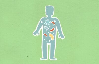 Microbiodul intestinal iarna: ghid științific românilor