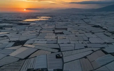 Spania hrănește 500 de milioane de oameni cu o construcție de 30.000 de hectare