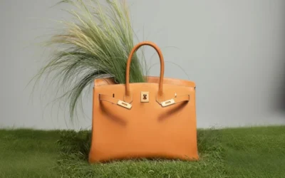 Hermès Birkin ajunge la 130.000 de dolari și o regulă de cheltuieli de 5 la 1