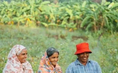 Fermierii din Sri Lanka primesc 1.400 LKR pe kilogram pentru bumbac regenerativ