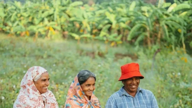 Fermierii din Sri Lanka primesc 1.400 LKR pe kilogram pentru bumbac regenerativ