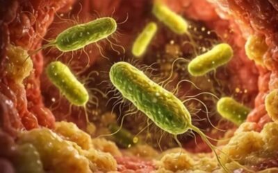 Tratamentul pentru C. difficile crește rata de recuperare prin transplant