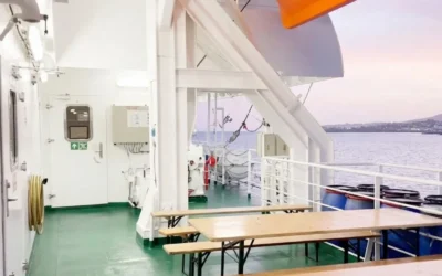 Vacanta de vis s-a transformat in cosmar. Un virus mortal a ucis 3 pasageri pe o nava de croaziera